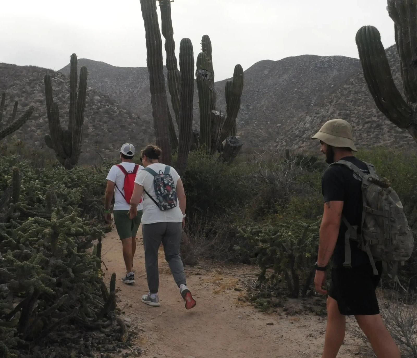 Viajeros caminando por un sendero entre cardones en el desierto de Baja California Sur