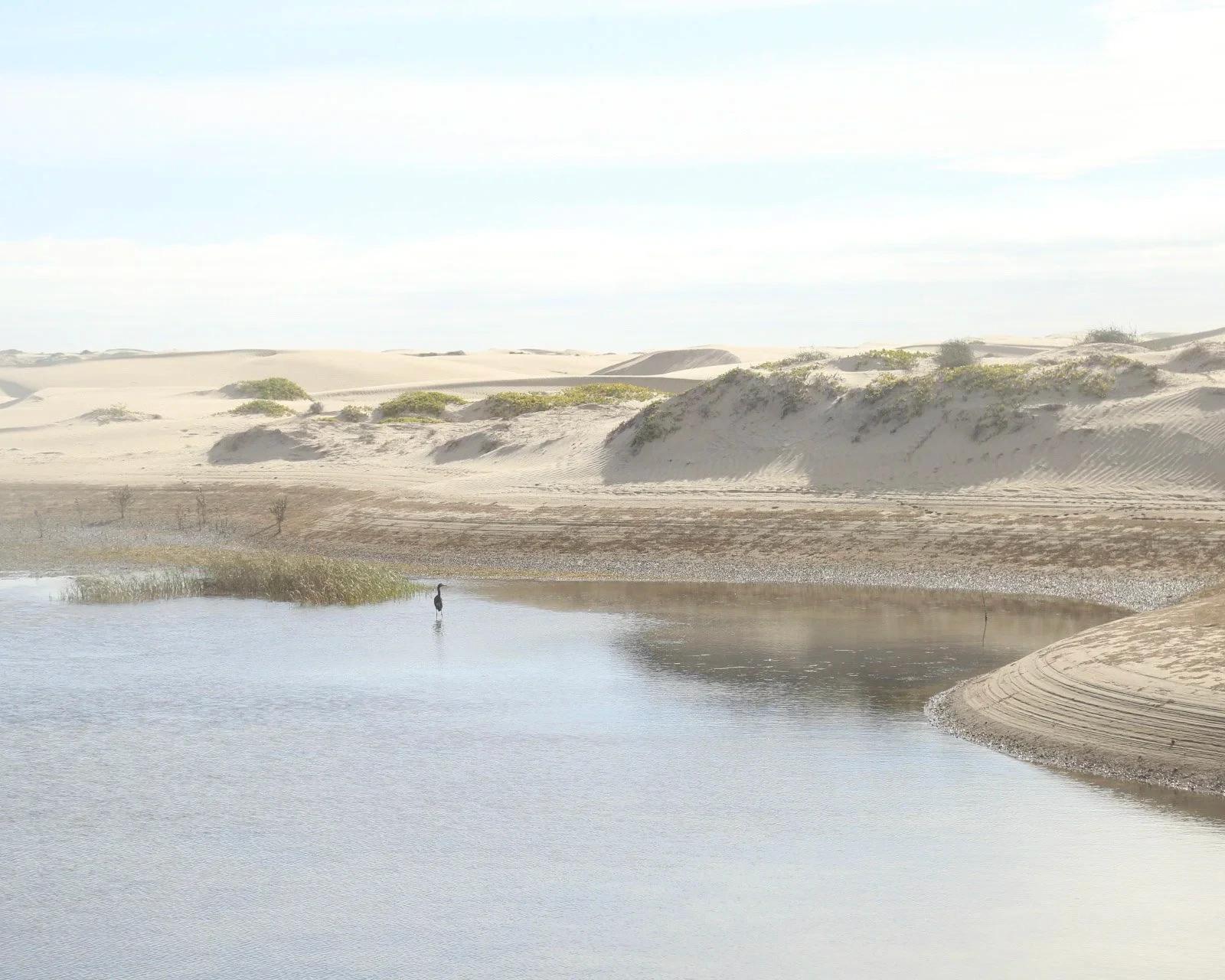 Dunas de arena y un canal de agua al amanecer en Bahía Magdalena