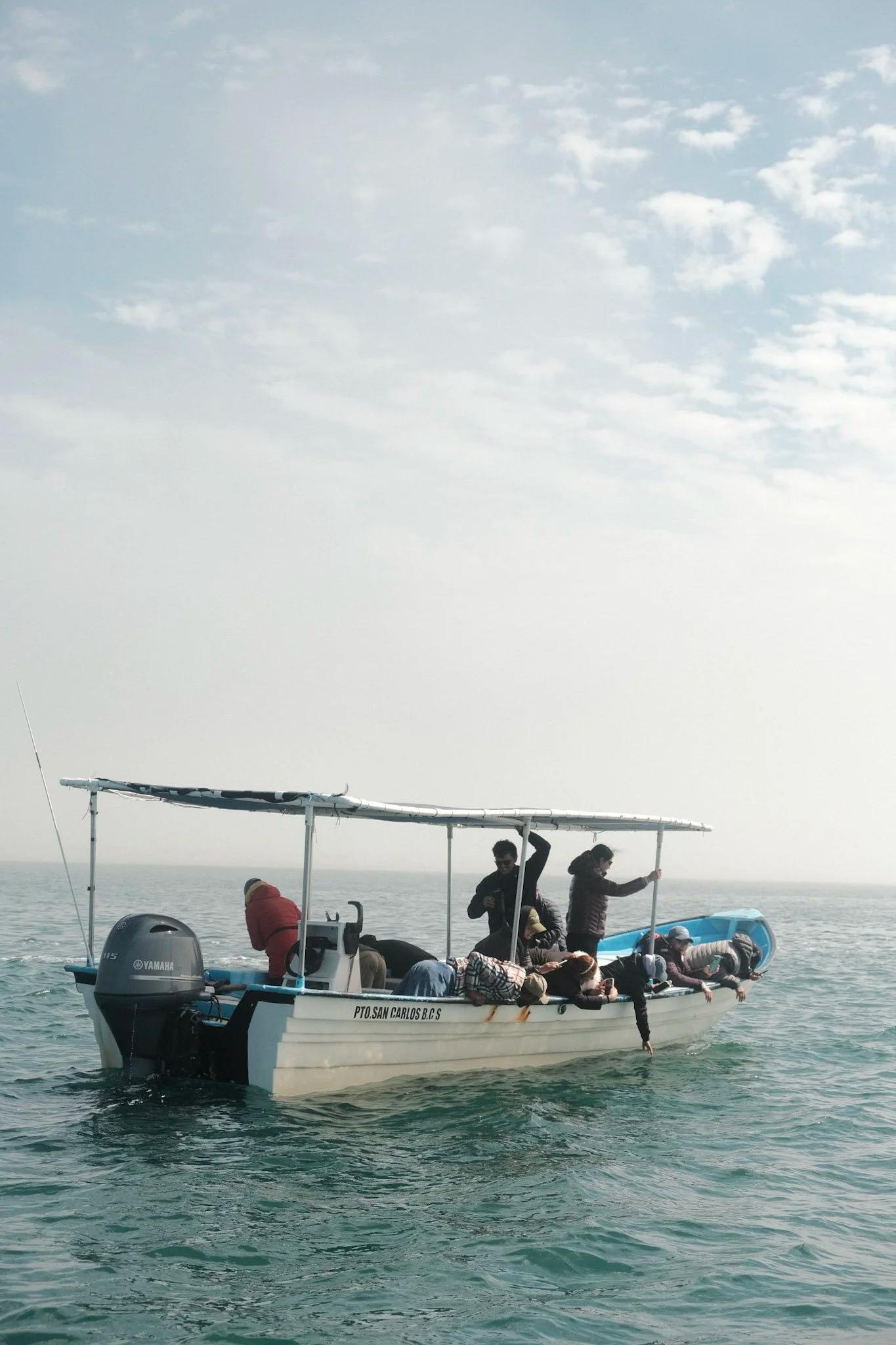 Viajeros entrando al agua desde una panga en el Mar de Cortés
