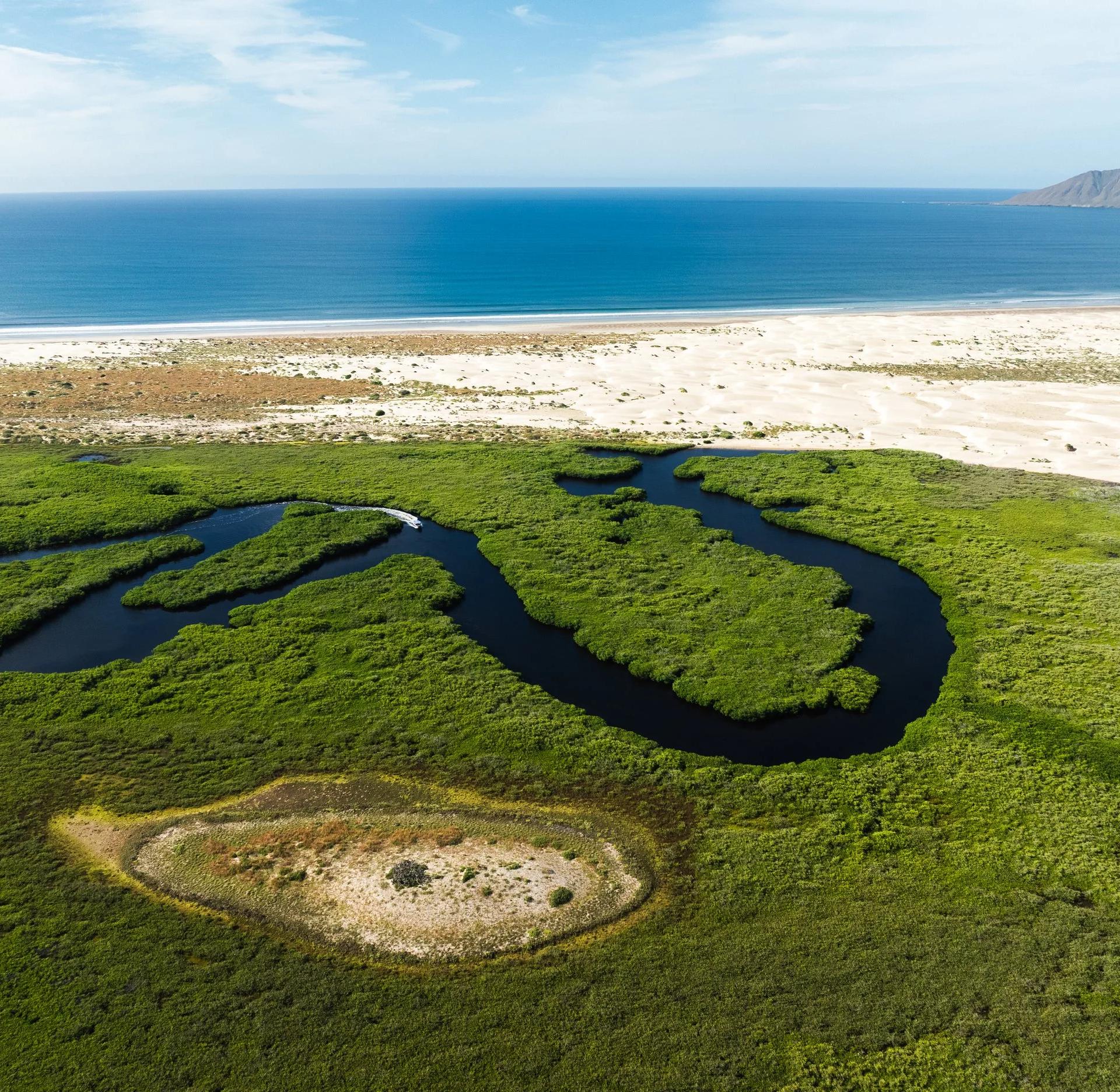 Vista aérea de los canales de manglar de Bahía Magdalena entre la duna y el mar abierto