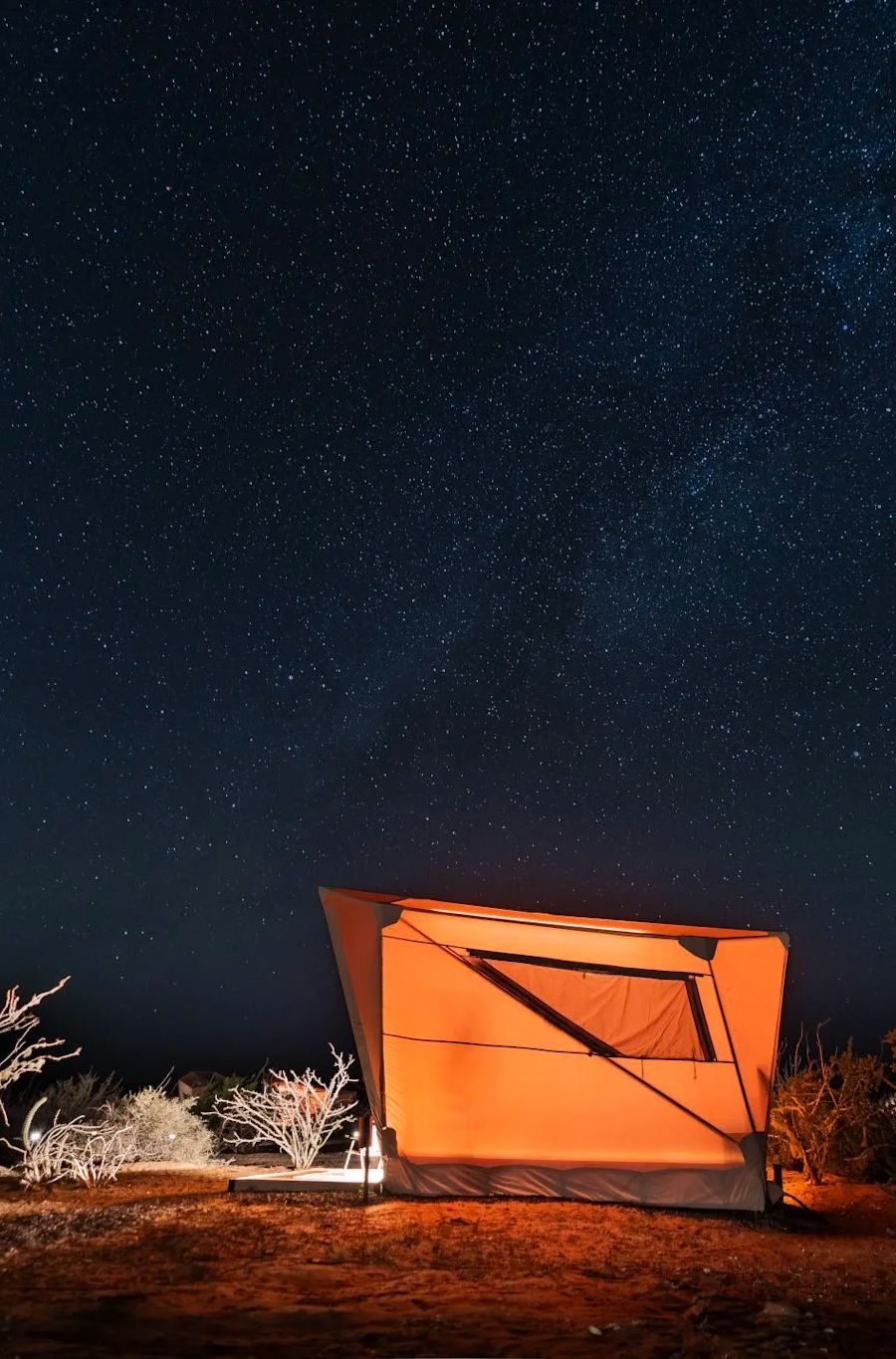 BAHÍA MAGDALENA OCEAN CAMP